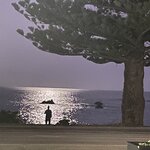 Photo taken by Walt N