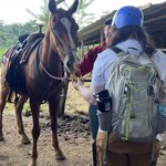 Photo taken by Victoria C