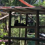 Photo taken by Kevin M