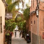 Photo taken by Indra S