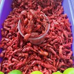 Photo taken by Priya R