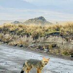 Photo taken by Cathy V