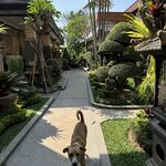 Photo taken by Nicoline v