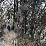 Photo taken by matthew h