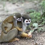 Photo taken by Sangeetha R