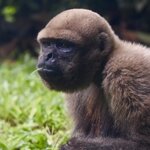 Photo taken by Joseph P