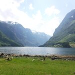 Photo taken by Chris M