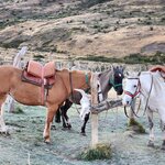 Photo taken by Devon B