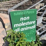 Photo taken by Paul M