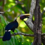 Photo taken by William R