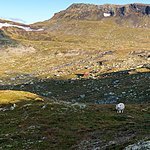 Photo taken by Christine C