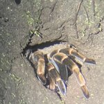 Photo taken by Robin W