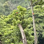 Photo taken by Julie G