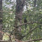 Photo taken by Grace V