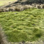 Photo taken by Vicki Lynn M