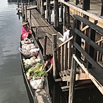 Photo taken by Cynthia C