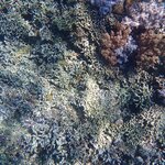 Photo taken by Dixie W