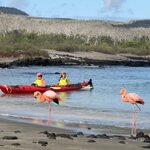 Photo taken by Sofia W