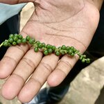 Photo taken by Bryce W