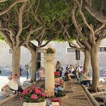 Photo taken by Marcia G