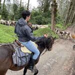 Photo taken by enrique jose g