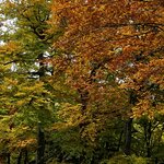 Photo taken by Patty L