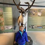 Photo taken by hanoch f