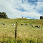 Photo taken by Sichao N