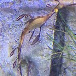 Photo taken by Julie H