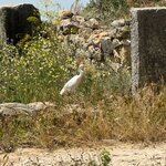 Photo taken by Brenda A