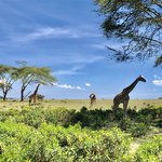 Photo taken by Virginia H