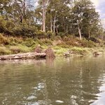 Photo taken by don m