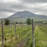 Photo taken by Whitney R