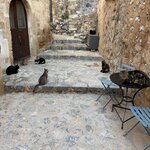 Photo taken by Jones I