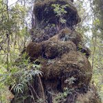 Photo taken by Mike C