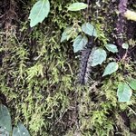 Photo taken by Sheila G