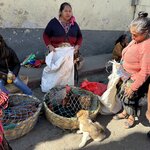 Photo taken by Solomon F