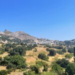 Photo taken by Allison S