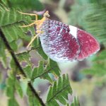 Photo taken by Mordechay T