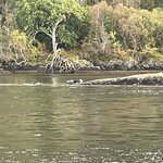 Photo taken by David L