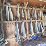 Photo taken by Michelle J