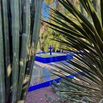 Photo taken by Jackie O