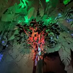 Photo taken by Jennifer D