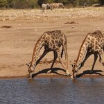 Photo taken by Joaquin M