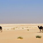 Photo taken by Kim M