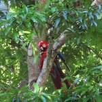 Photo taken by Pat K