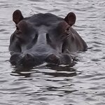 Photo taken by rafiq m