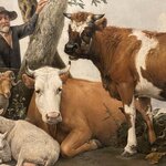 Photo taken by Shannon F