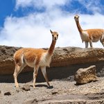 Photo taken by Natascia V