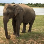 Photo taken by Sylvanna C